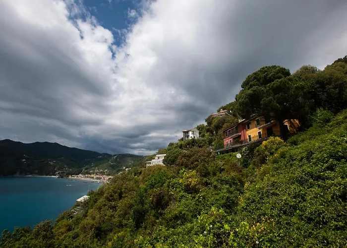 080 - La Villa Storica Il Vigneto 45B, Terrazza Sul Mare - Parcheggio Privato Gratis